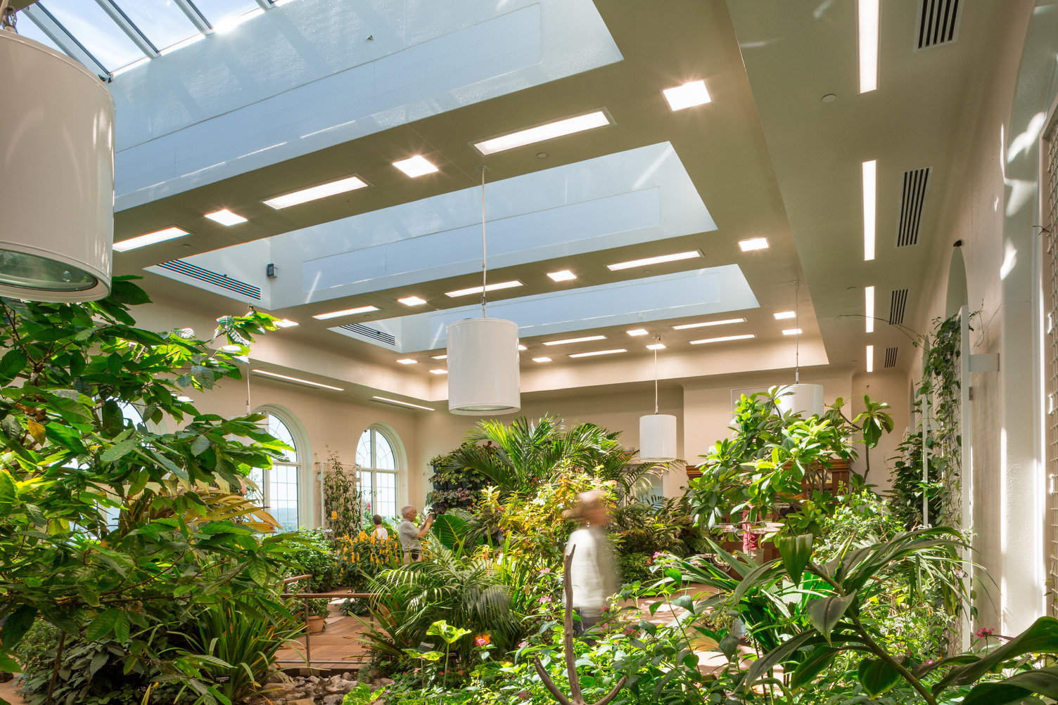 Living tropical butterfly atrium exhibit