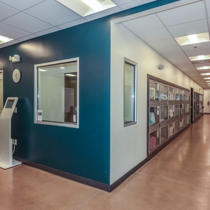 Architectural design enhancements at the York County SPCA Brougher Companion Animal Shelter